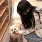 行星宝宝手机版下载
